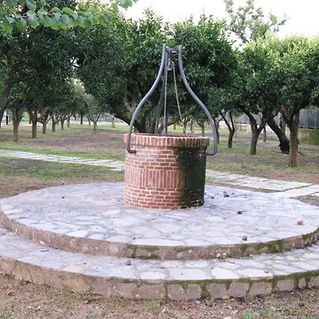 Julia Pompei