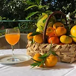 بيت ضيافة Julia 3*