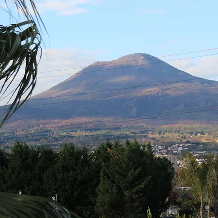 Гостьовий будинок Julia