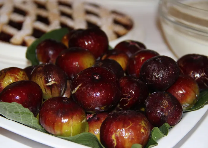 Julia Pensionat Pompeji